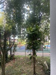 Blk 987C Jurong West Street 93 (Jurong West), HDB 4 Rooms #602817641